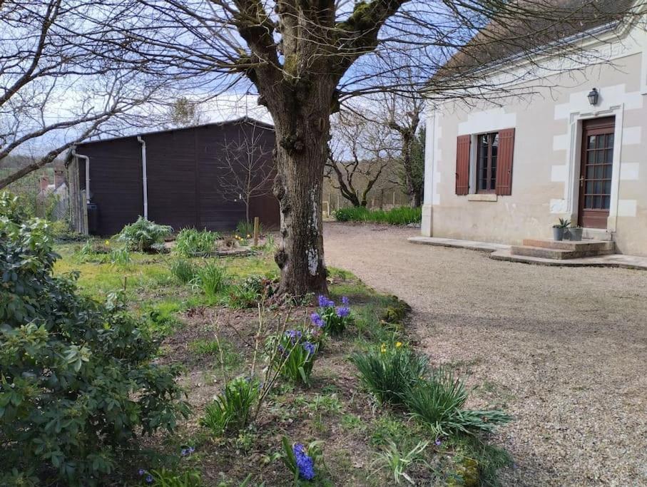 La Jolie Ruche Villa Saint-Georges-sur-Cher Exterior photo